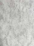 Tapeta Ścienna Przecierany Beton Tynk Szary 9011-4