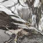 Tapeta Nowoczesna Marmur Tynk Żyłki Czarny Złoty 1068-22